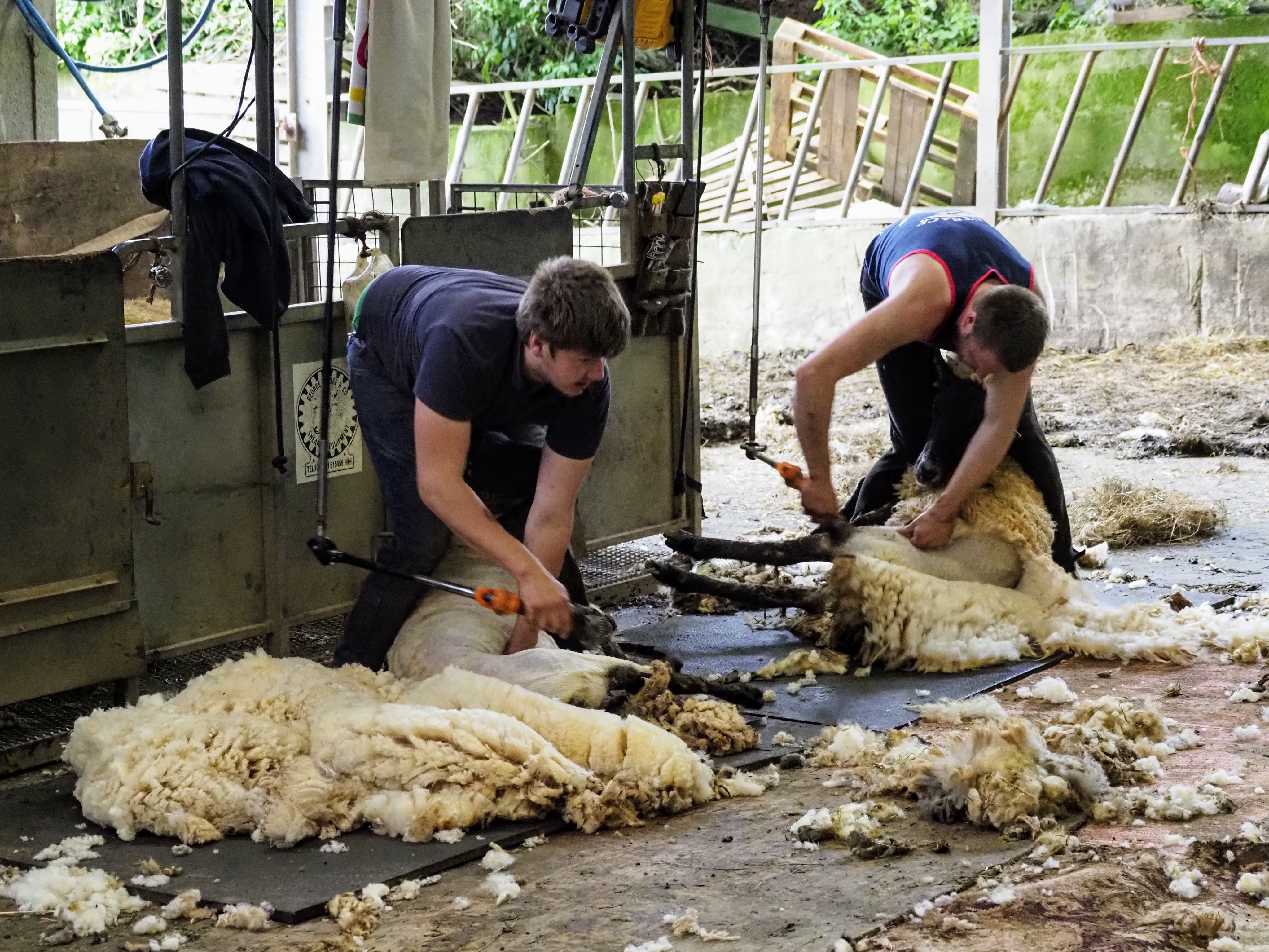 This image has an empty alt attribute; its file name is ack0168.jpg